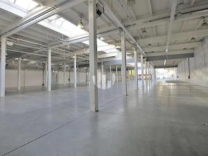 Pronájem obchodního prostoru, Liberec, Doubská, 3000 m2