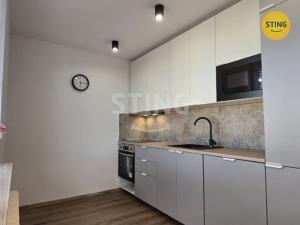 Prodej bytu 1+kk, Krnov, SPC E, 40 m2