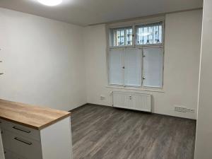 Pronájem bytu 2+kk, Praha - Žižkov, Jeseniova, 45 m2