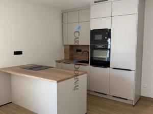 Pronájem bytu 3+kk, Ostrava - Slezská Ostrava, U Hájenky, 78 m2