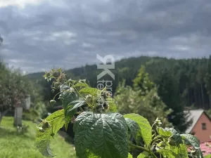 Prodej chaty, Vsetín, Dlúhé, 23 m2