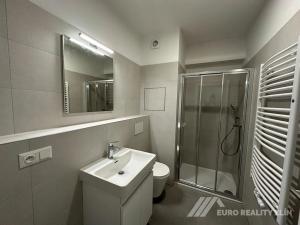 Pronájem bytu 1+kk, Otrokovice, Moravní, 27 m2