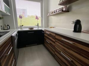 Pronájem bytu 4+1, Teplice, Unčínská, 85 m2