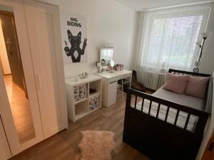 Pronájem bytu 4+1, Teplice, Unčínská, 85 m2