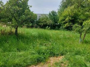 Prodej rodinného domu, Bousín, 150 m2