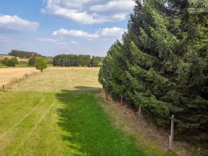 Prodej pozemku pro bydlení, Velký Bor, 921 m2