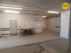 Pronájem skladu, Opava, Zámecký okruh, 251 m2