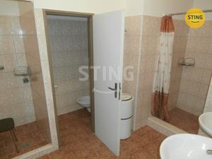 Pronájem skladu, Opava, Zámecký okruh, 251 m2