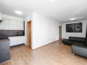 Pronájem bytu 1+kk, Praha - Strašnice, Štěchovická, 42 m2
