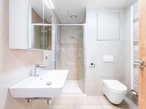Pronájem bytu 1+kk, Praha - Strašnice, Štěchovická, 42 m2