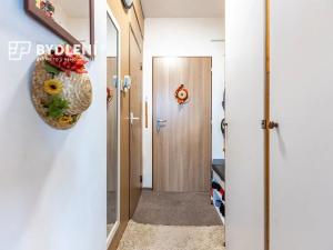 Prodej bytu 1+1, Teplice, Antala Staška, 34 m2