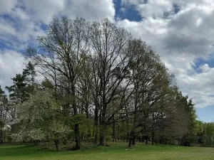 Prodej podílu pozemku, Stříbřec, 5449 m2