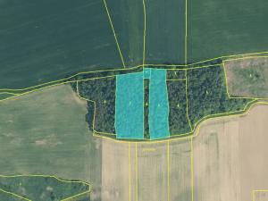 Prodej lesa, Králova Lhota, 11095 m2