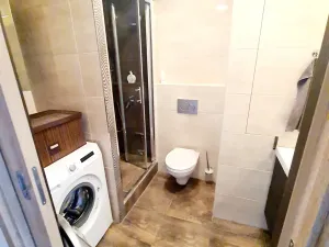 Pronájem bytu 1+1, Praha - Čimice, Minická, 40 m2