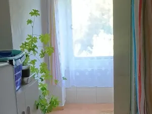 Pronájem chalupy, Sedlec-Prčice - Myslkov, 66 m2