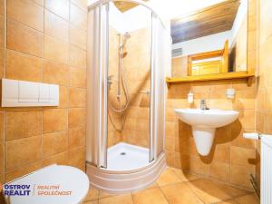 Prodej apartmánu, Bělá pod Pradědem - Bělá, 260 m2