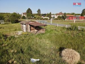 Prodej chaty, Borohrádek, 15 m2