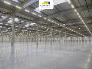 Pronájem výrobních prostor, Údlice, Droužkovická, 15000 m2