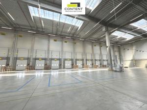 Pronájem výrobních prostor, Údlice, Droužkovická, 15000 m2