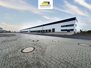 Pronájem výrobních prostor, Údlice, Droužkovická, 20000 m2