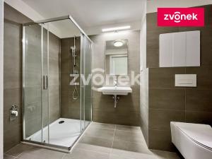 Pronájem bytu 1+kk, Zlín, Nad Stráněmi, 33 m2