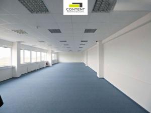 Pronájem výrobních prostor, Hladké Životice, Kujavská, 29000 m2
