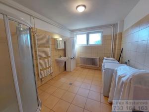 Prodej vily, Otice, Domky, 380 m2