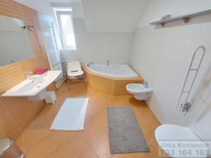 Prodej vily, Otice, Domky, 380 m2