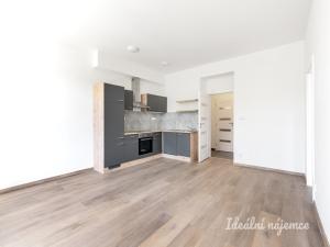 Pronájem bytu 2+kk, Praha - Michle, Hanusova, 48 m2