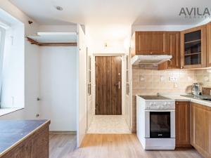 Pronájem bytu 1+kk, Zvěstov - Roudný, 25 m2