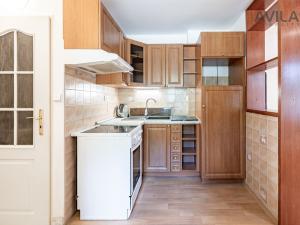 Pronájem bytu 1+kk, Zvěstov - Roudný, 25 m2