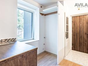 Pronájem bytu 1+kk, Zvěstov - Roudný, 25 m2