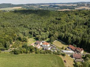 Pronájem bytu 1+kk, Zvěstov - Roudný, 25 m2
