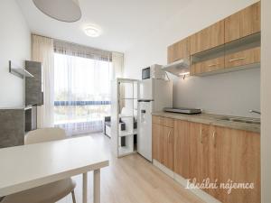 Pronájem bytu 1+kk, Praha - Vysočany, Poděbradská, 18 m2