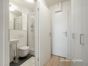 Pronájem bytu 1+kk, Praha - Vysočany, Poděbradská, 18 m2