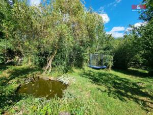 Prodej chaty, Česká Třebová - Parník, 30 m2