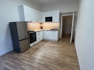 Pronájem bytu 2+kk, Praha - Žižkov, Žerotínova, 44 m2