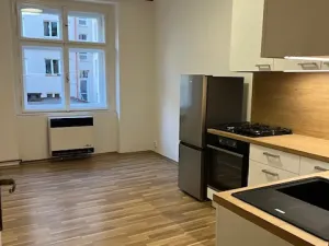 Pronájem bytu 2+kk, Praha - Žižkov, Žerotínova, 44 m2