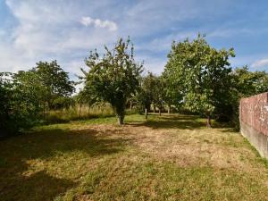 Prodej chalupy, Radovesnice II, 140 m2