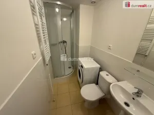 Pronájem bytu 1+kk, Praha - Smíchov, Na Valentince, 48 m2