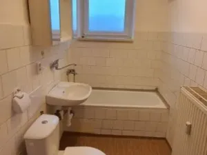 Pronájem bytu 1+1, Bor - Vysočany, 36 m2