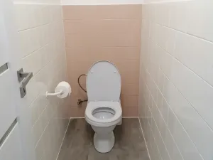 Pronájem bytu 3+kk, Šumice, 100 m2