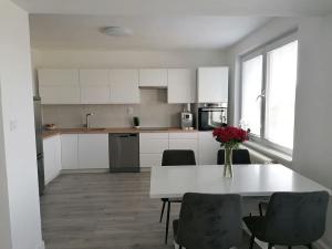 Pronájem bytu 3+kk, Šumice, 100 m2