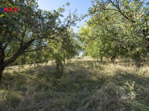 Prodej rodinného domu, Bohuslavice u Zlína, 210 m2