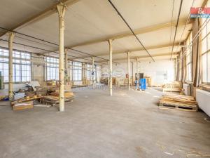 Pronájem výrobních prostor, Krásná Lípa, Bezručova, 5000 m2