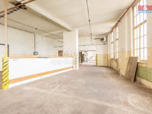 Pronájem výrobních prostor, Krásná Lípa, Bezručova, 5000 m2
