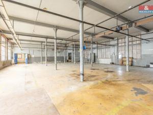Pronájem výrobních prostor, Krásná Lípa, Bezručova, 5000 m2