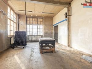 Pronájem výrobních prostor, Krásná Lípa, Bezručova, 5000 m2