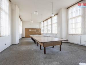 Pronájem výrobních prostor, Krásná Lípa, Bezručova, 5000 m2