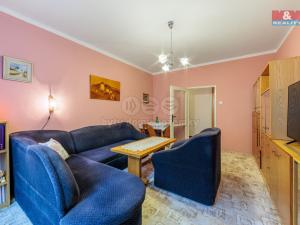 Prodej bytu 2+1, Ostrov, S. K. Neumanna, 66 m2
